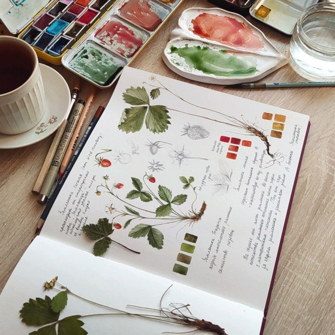 Botanical Illustration Workshop - May 30th